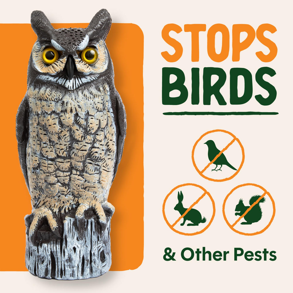 Dalen Large Fake Owl Decoy to Scare Birds Away - 16 in Hand-Painted Great Horned Owl Garden Scarecrow for Natural Pest Control - Fixed Head Design - Secure Upright by Filling with Sand/Gravel Only