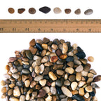 Galashield Pebbles for Plants, River Rocks, Decorative Stones for Vases, Garden Rocks Outdoor Landscaping, Polished Aquarium Gravel (5 lb Bag), 1-2 cm
