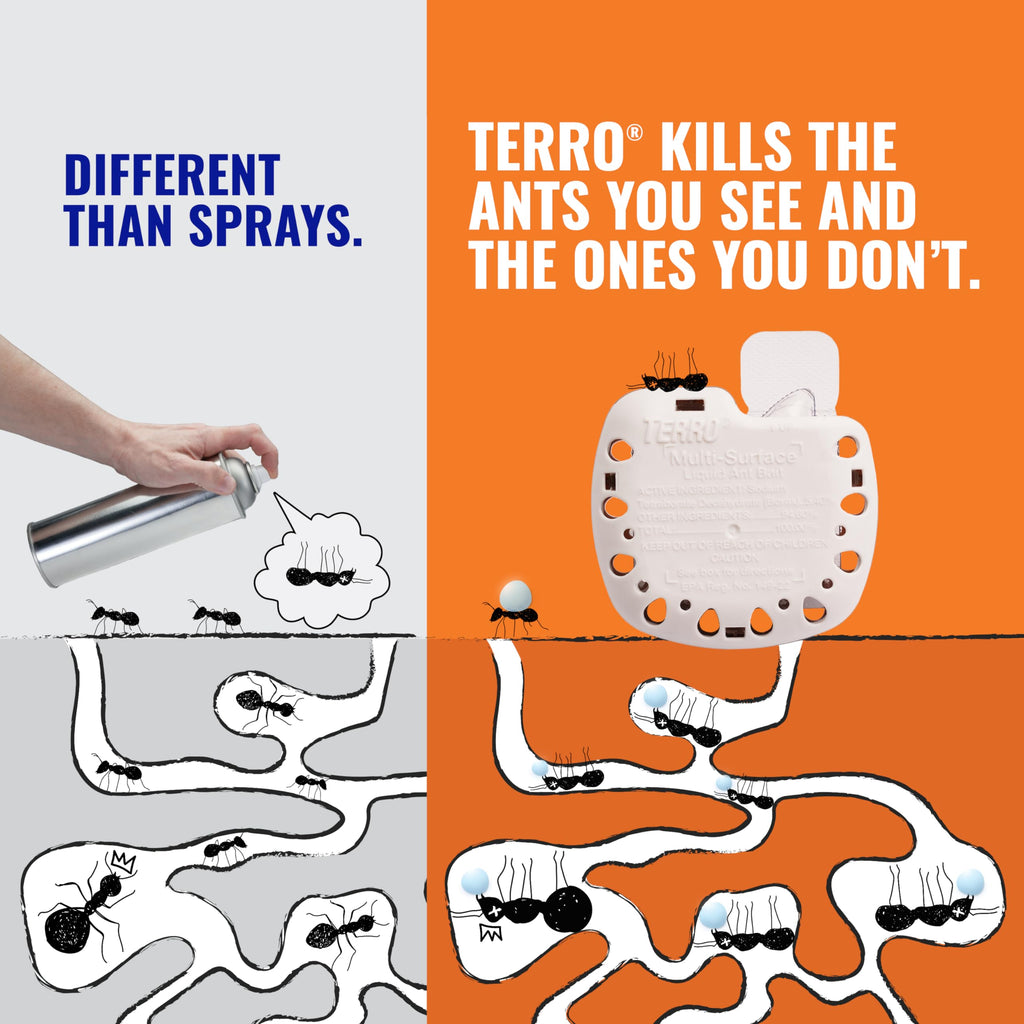 TERRO T334SR Indoor Multi-Surface Liquid Ant Bait and Ant Killer - 8 Discreet Ant Bait Stations - Kills Common Household Ants