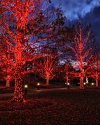 Twinkle Star 4 Pack Outdoor Solar String Lights, Each 39.4 FT 120 LED Solar Powered Valentines Day Decorative Fairy Lights with 8 Modes, Waterproof Silver Wire Light for Christmas Wedding Party, Red