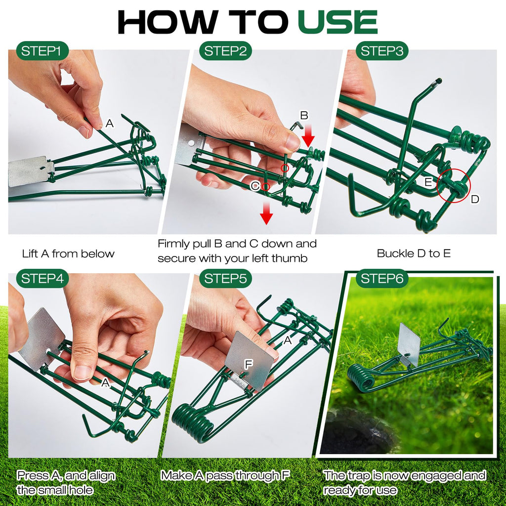 Qualirey 12 Pcs Outdoor Gopher Trap Easy Set Mole Trap Weather Resistant Gopher Killer Vole Trap for Lawn Garden Farm (Green)