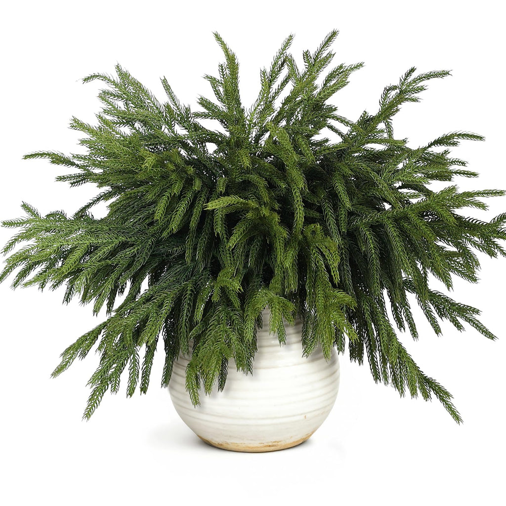 20 Pcs Christmas Norfolk Pine Branches -18" Real Touch Artificial Norfolk Pine Branch Faux Plants Stem Fake Greenery Pine Picks for Vase DIY Crafts Garland Wreath Home Indoor Outdoor Decoration