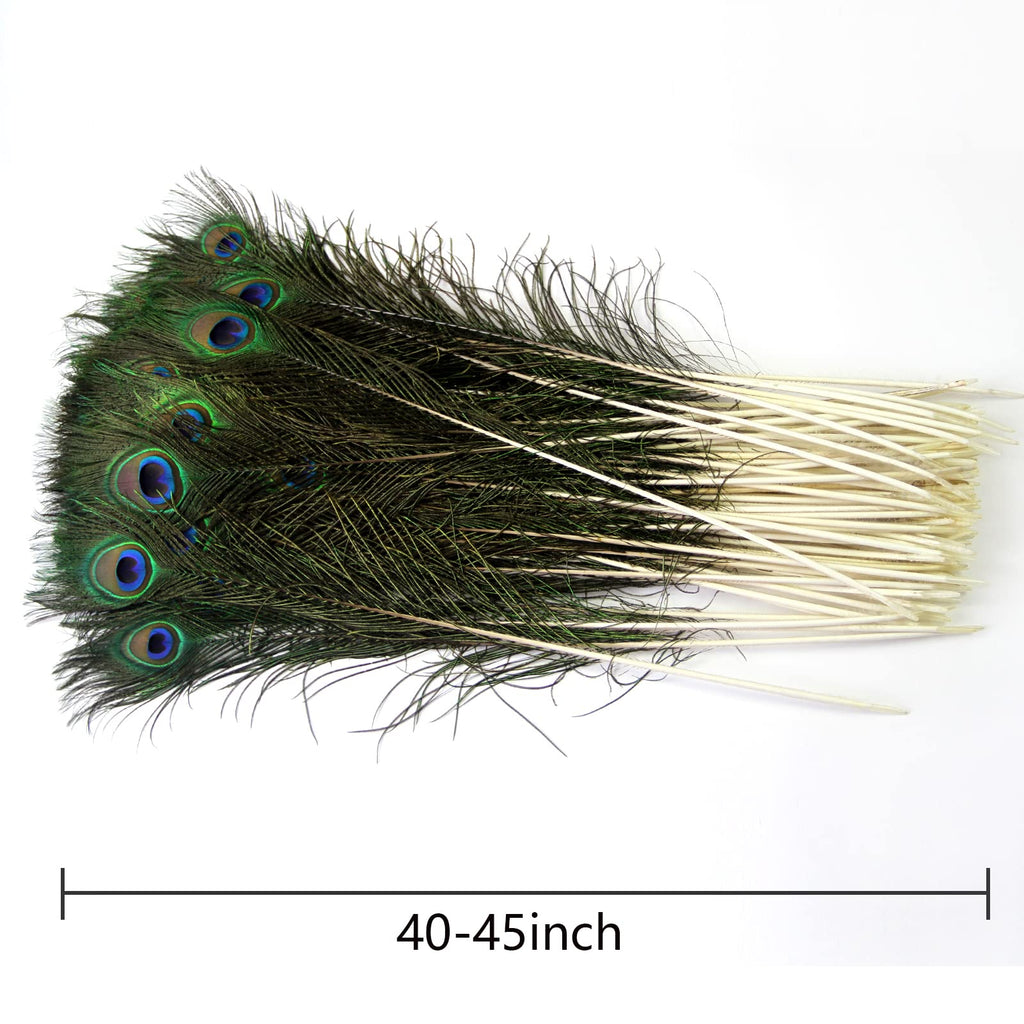 THARAHT 24pcs Peacock Feathers Long Natural in Bulk 40-45 inch 100-115 cm for Vase Craft Vase Wedding Home Party Christmas Day Decoration Peacock Feathers