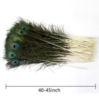 THARAHT 24pcs Peacock Feathers Long Natural in Bulk 40-45 inch 100-115 cm for Vase Craft Vase Wedding Home Party Christmas Day Decoration Peacock Feathers