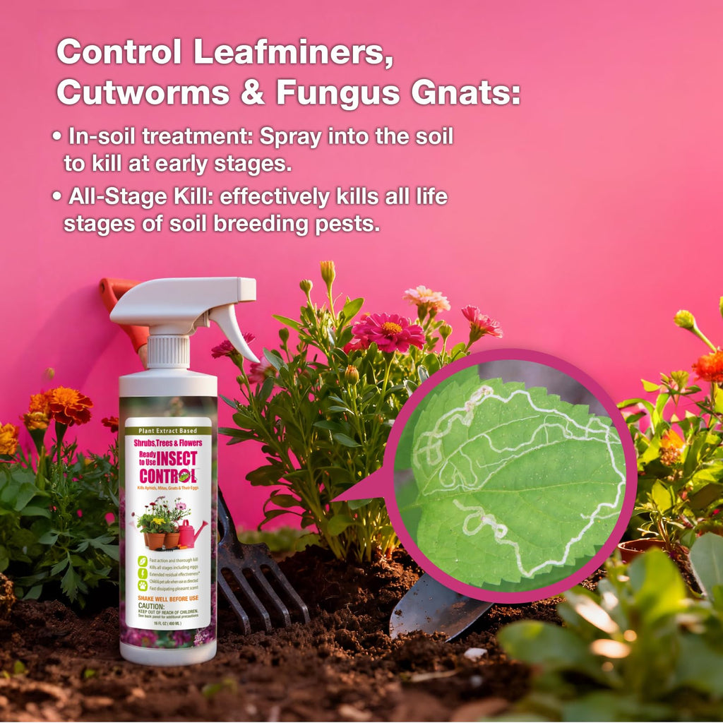 EcoVenger® Garden Insect Control 16 oz | Kills Aphids Mealybugs Spider Mites Gnats and Eggs | Indoor Outdoor | Plant-Based Child and Pet Safe