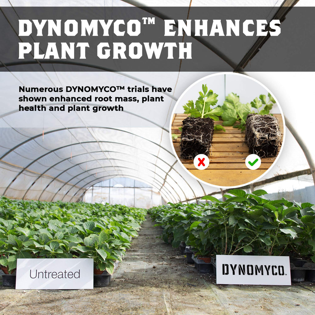 DYNOMYCO Concentrated Premium Mycorrhizal Inoculant - Root Enhancer/Stimulator/Booster - Mycorrhizae for Plants for Healthier, Stronger & Larger Roots - Supreme myco strains - Treats 150 Plants!