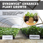 DYNOMYCO Concentrated Premium Mycorrhizal Inoculant - Root Enhancer/Stimulator/Booster - Mycorrhizae for Plants for Healthier, Stronger & Larger Roots - Supreme myco strains - Treats 150 Plants!