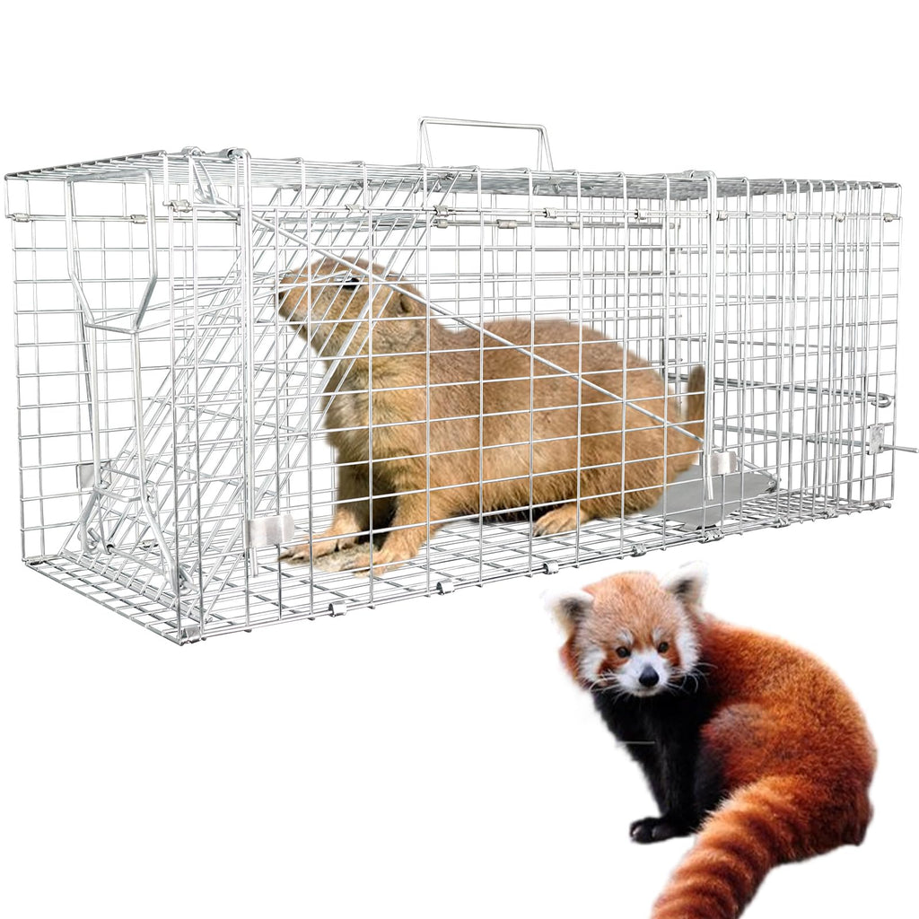 2023 Upgraded Reinforced Animal Traps,Rabbit Traps,33in Live Animal Cage for Squirrels,Stray Cats Trap, Live Traps for Raccoons, Stainless Steel Foldable with Pedal Triggers(33x12x13inch)