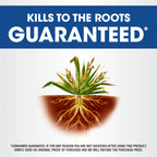 Roundup Weed & Grass Killer₄ with Sure Shot Wand, Use in and Around Flower Beds, Trees, and Driveways, 1 gal.