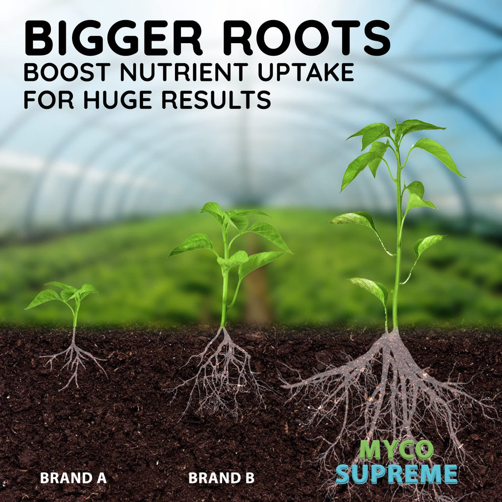 Mycorrhizal Fungi Root Enhancer for Plants - Bigger, Stronger, Healthier Roots, Use In Soil and Hydroponics - Super 20X Concentrated Mycorrhizae Inoculant Strain - Trifecta Myco Supreme (175 Grams / 6 OZ)