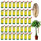 40 Pack Fly Strips Indoor Sticky Hanging, Fly Paper Fly Traps Indoors Outdoor, Fly Tape Catcher Ribbon for Home, Fruit Fly Gnat Trap Killer