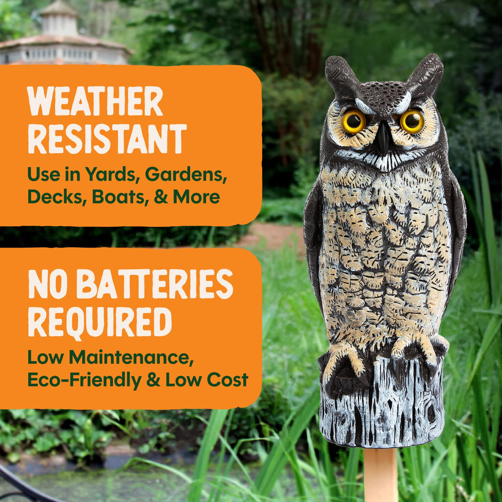 Dalen Large Fake Owl Decoy to Scare Birds Away - 16 in Hand-Painted Great Horned Owl Garden Scarecrow for Natural Pest Control - Fixed Head Design - Secure Upright by Filling with Sand/Gravel Only