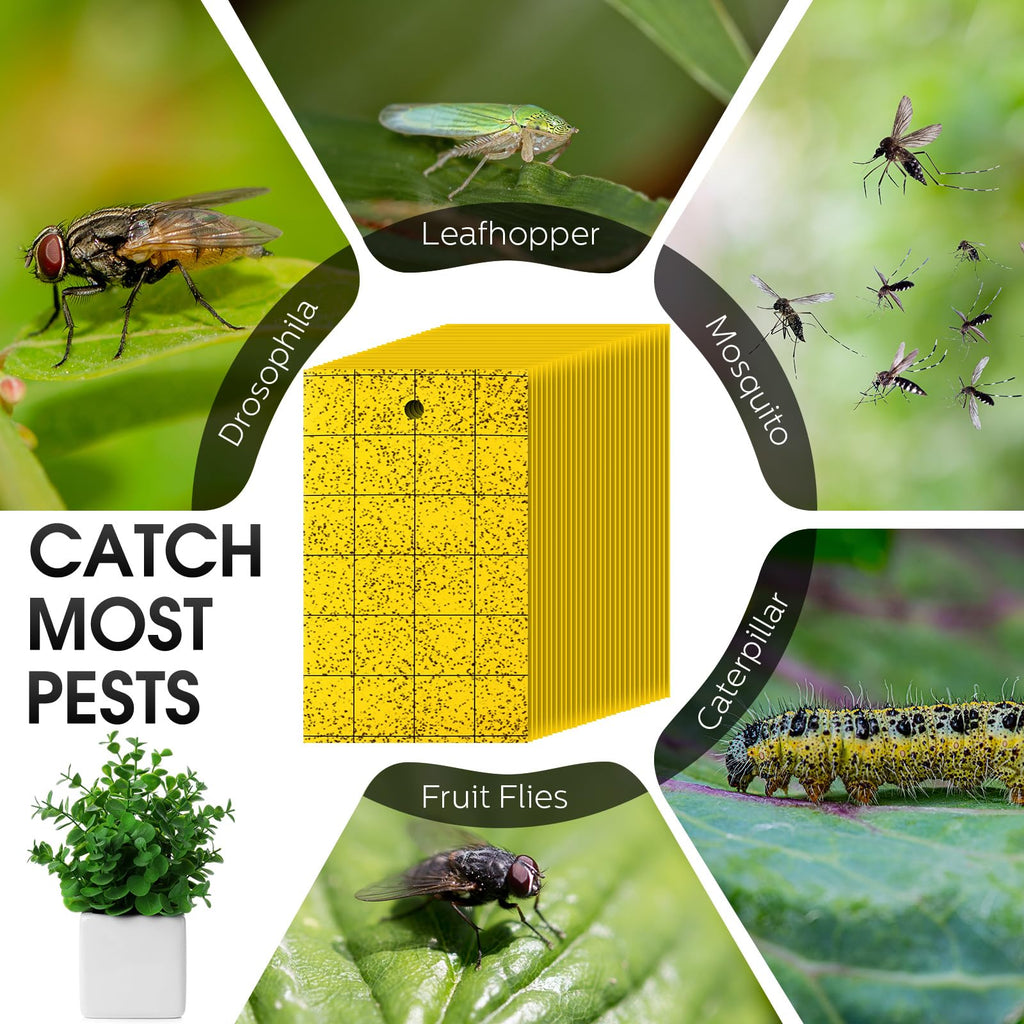 Qualirey 150 Pcs Yellow Sticky Trap for Gnats 3 x 5'' Dual Side Sticky Fruit Fly Trap with Tie Plant Sticky Trap for Flying Insect Fungus Bugs Flying Sticky Trap Sticky for Indoor Outdoor