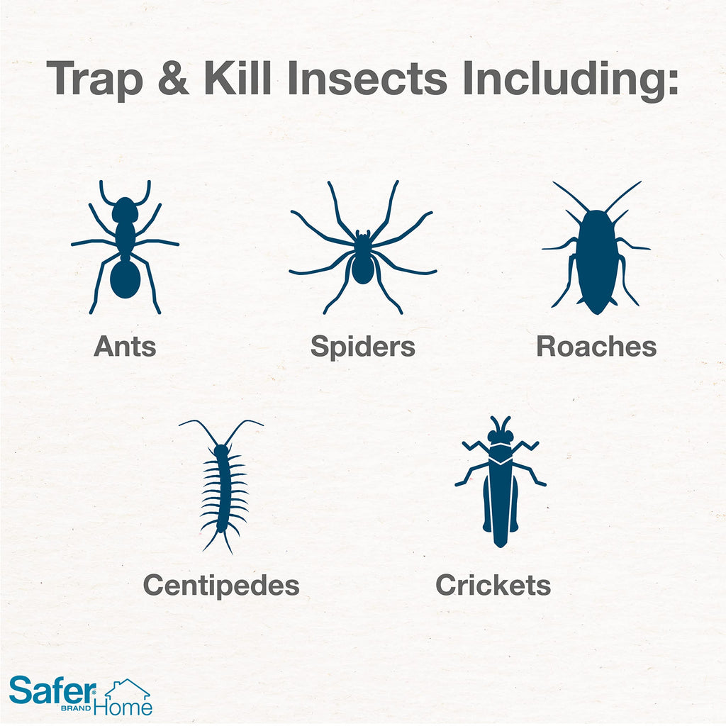 Safer Brand 12 Safer Home SH400SR Indoor Spider, Ant, Cockroach, Centipede, and Crawling Insect Traps, Blue