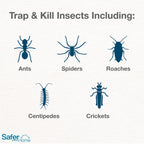Safer Brand 12 Safer Home SH400SR Indoor Spider, Ant, Cockroach, Centipede, and Crawling Insect Traps, Blue