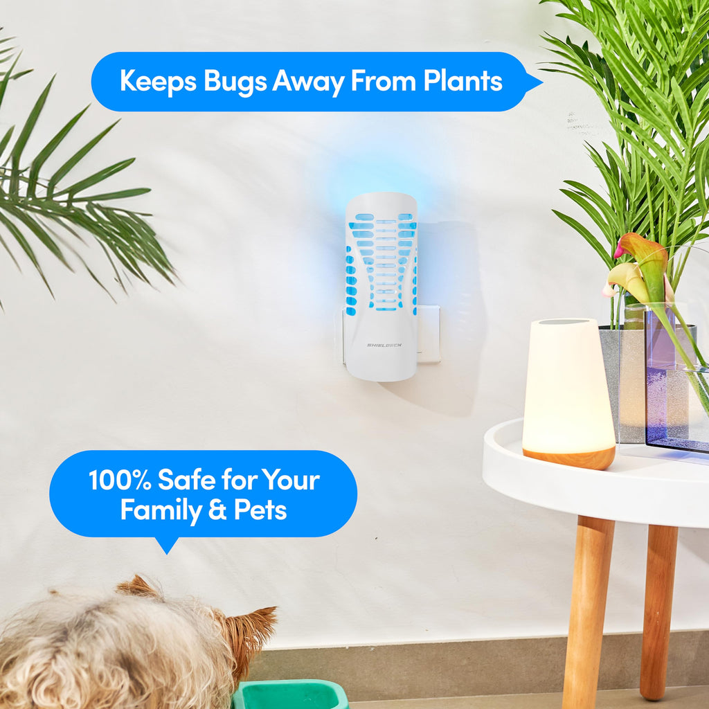 Shieldeck Flying Insect Trap - Indoor Fly Trap, Gnat Trap, and Mosquito Trap - Fruit Fly Killer and Plug-in Bug Catcher with UV Light (1 Device + 5 Refills) - White