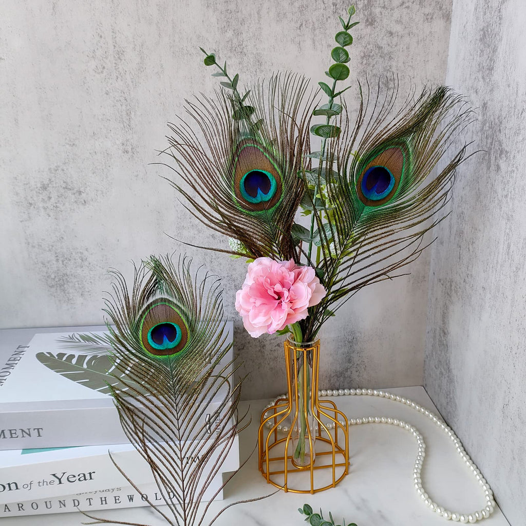 THARAHT 60pcs Peacock Feather Natural in Bulk 10-12 inch 25-30cm for Craft Vase Wedding Home Party Christmas Day Decoration Peacock Feathers