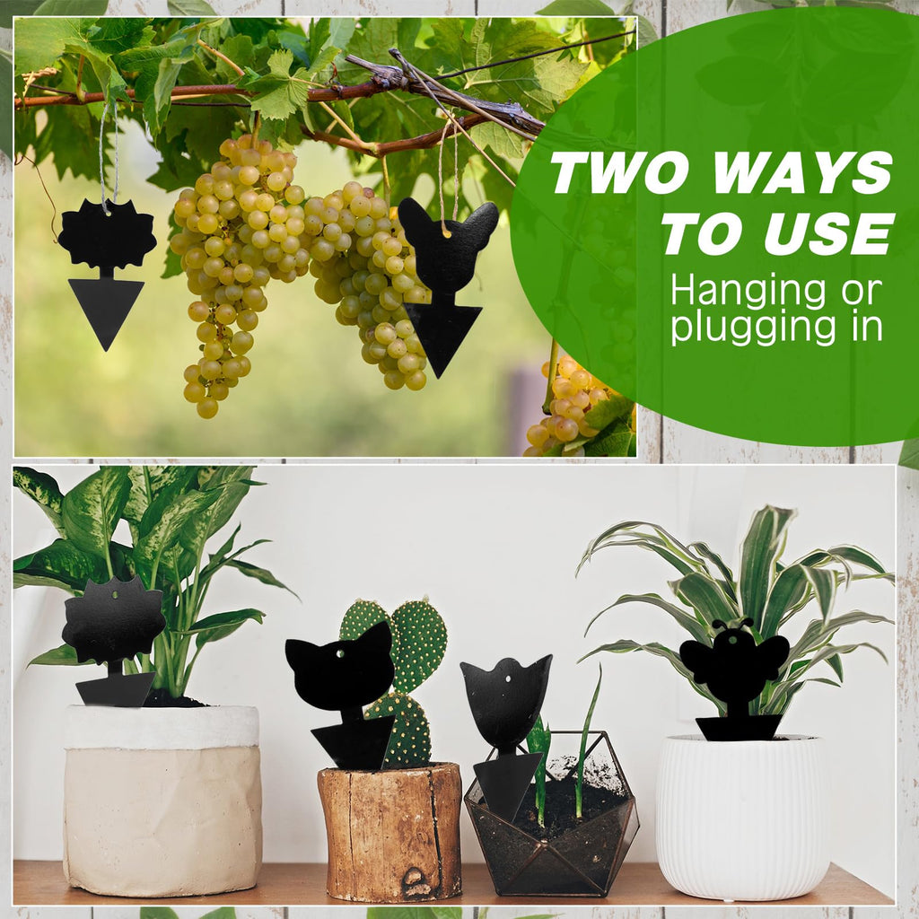 Qualirey 200 Pcs Fruit Fly Traps Fungus Gnat Killer Bug Mosquito Trap Fruit Fly Killer Double Side Sticky Traps Plant Trap Insect Catcher Killer for Indoor Outdoor House Kitchen (Exquisite, Black)