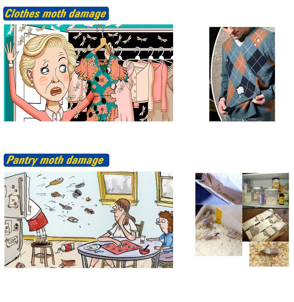 Dual Moth Traps for Clothes and Pantry Highly Effective All-Around Moth Traps,Pro Cloest Essentials Get Rid of Wool Moths with Natural Safe and Odor-Free Dual Premium Pheromone