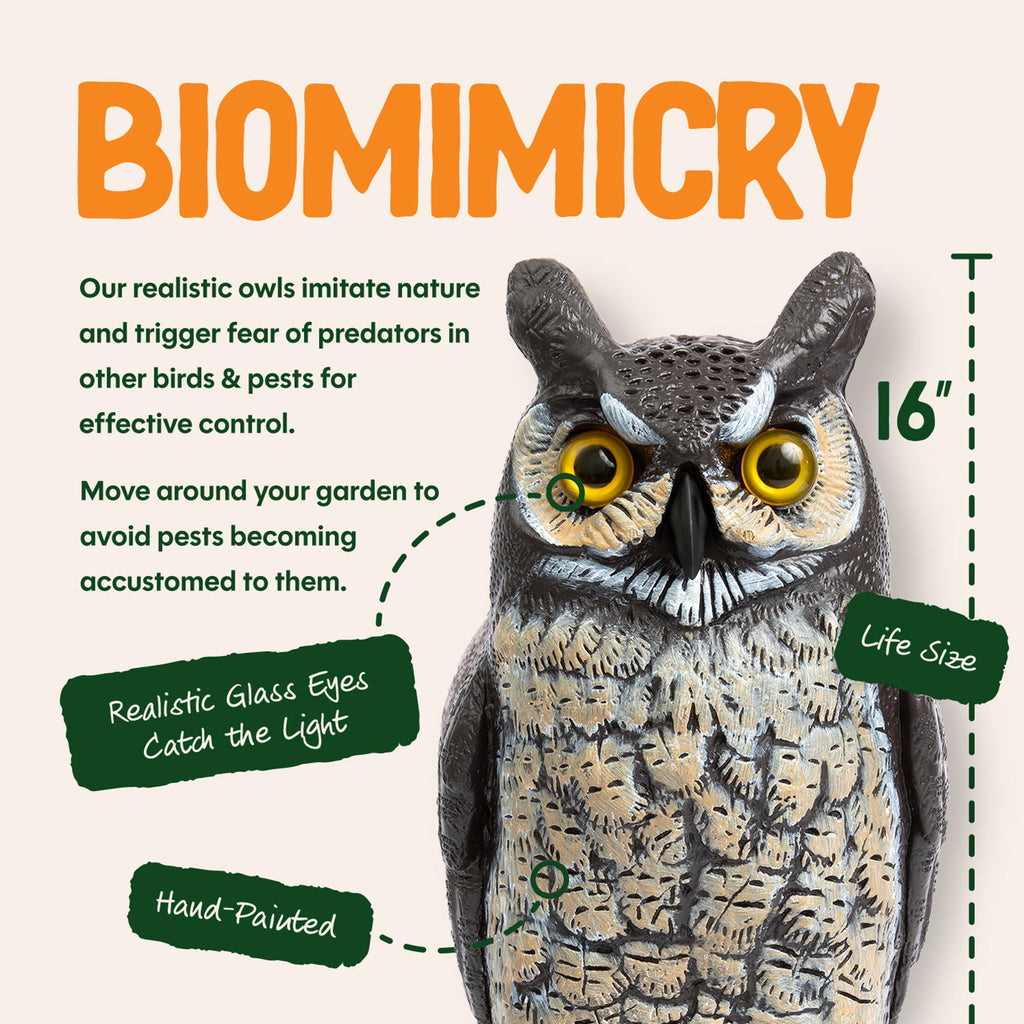 Dalen Large Fake Owl Decoy to Scare Birds Away - 16 in Hand-Painted Great Horned Owl Garden Scarecrow for Natural Pest Control - Fixed Head Design - Secure Upright by Filling with Sand/Gravel Only