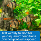 API Phosphate Test Kit For Freshwater And Saltwater