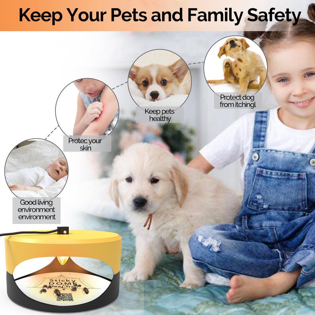 Yellow and Dark Gray Aspectek Sticky Dome Flea Trap with 2 Sticky Discs. Odorless Insect Traps, Effective for Indoor Use - 2 Pack