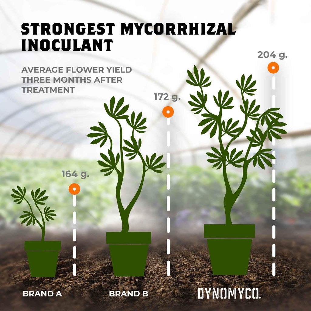 DYNOMYCO Concentrated Premium Mycorrhizal Inoculant - Root Enhancer/Stimulator/Booster - Mycorrhizae for Plants for Healthier, Stronger & Larger Roots - Supreme myco strains - Treats 150 Plants!