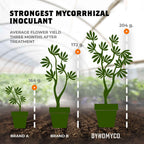 DYNOMYCO Concentrated Premium Mycorrhizal Inoculant - Root Enhancer/Stimulator/Booster - Mycorrhizae for Plants for Healthier, Stronger & Larger Roots - Supreme myco strains - Treats 150 Plants!