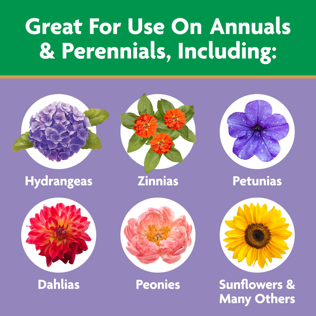 Miracle-Gro Water Soluble Bloom Booster Flower Food Fertilizer - 10-52-10 Formula for Annuals Perennials and Containers - Promotes Vibrant Flowers and Rich Color, 4 lbs.