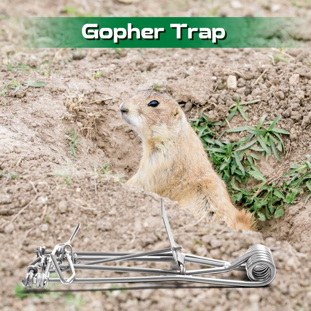 Qualirey 8 Pcs Outdoor Gopher Trap Easy Set Mole Trap Weather Resistant Gopher Killer Vole Trap for Lawn Garden Farm (Silver)