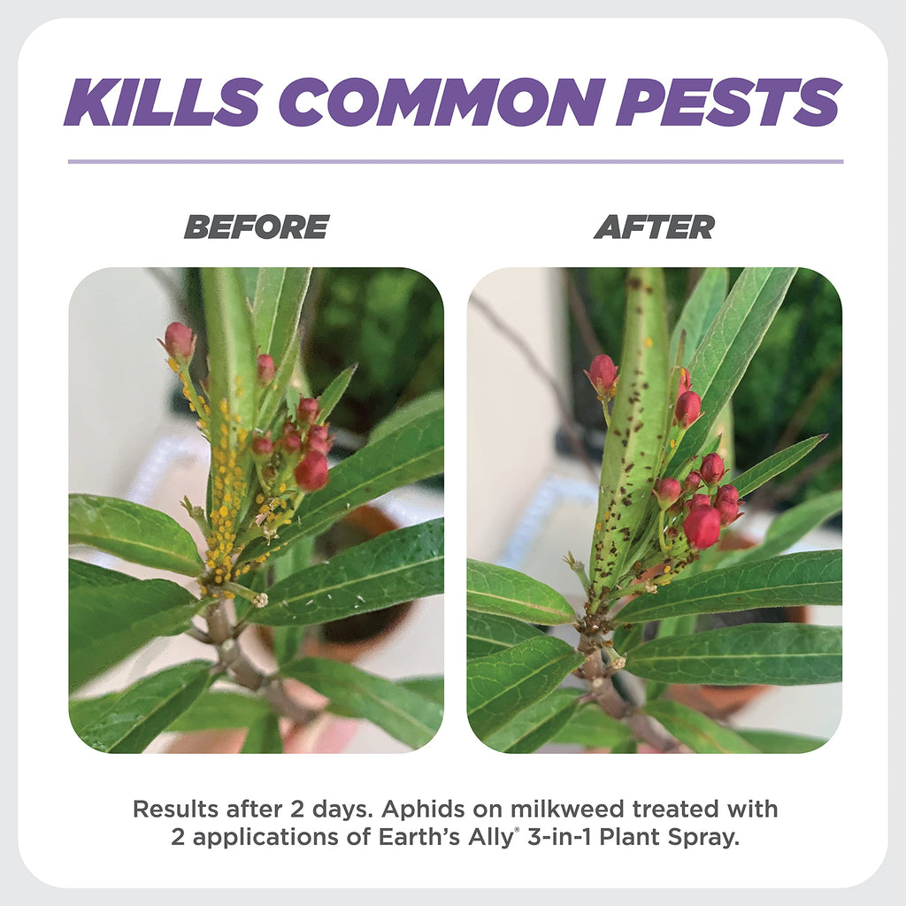 Earth's Ally 3-in-1 Plant Spray Concentrate | Insecticide, Fungicide & Spider Mite Control, Use on Indoor and Outdoor Plants, Gardens & Trees - Insect & Pest Repellent, 8oz, Super Concentrate