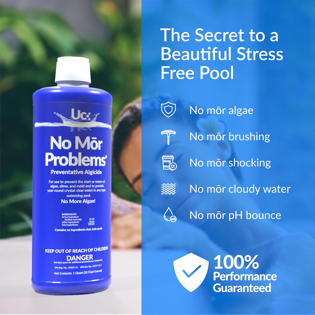 No Mor Problems | Swimming Pool Preventative Algaecide | 2 Quarts Pack