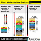 CanDo Slim WaTE Bar 3lb Red, Total Body Workout Weighted Exercise Bar for Strength Training, Toning, and Physical Therapy