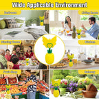 Fruit Fly Trap for Indoors, Effective Fly Catcher Gnat Killer with Double-Sided Sticker, 2024 New Upgrade Fruit Fly Gnat Trap with Bait, Non-Toxic and Reusable Fly Trap for Home, Kitchen - 2 Pack