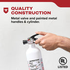 Kidde Kitchen Fire Extinguisher, Home Use for Grease Fires, 3.9 Lbs., Wall Mount Included, White