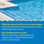 In The Swim Super Algaecide for Above Ground or Inground Swimming Pools – Low Odor, Non-Foaming Preventative for Yellow/Mustard Algae in Swimming Pools - 7.1% Chelated Copper – 1 Gallon