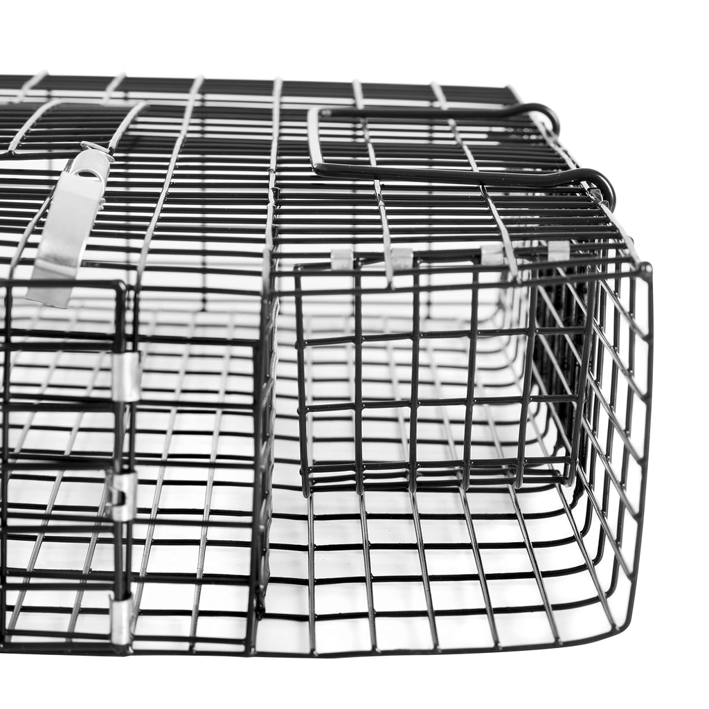 Rugged Ranch CHPTO Chipmunkinator Large Metal Wire Live Chipmunk Catch & Release Trap Cage w/Easy Open Top Lid & 2 Door System, Black (2 Pack)