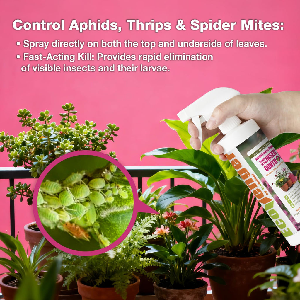 EcoVenger® Garden Insect Control 16 oz | Kills Aphids Mealybugs Spider Mites Gnats and Eggs | Indoor Outdoor | Plant-Based Child and Pet Safe