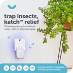 Katchy Plug-in Fly Trap Indoor – Blue Light Bug Catcher for Mosquito, Gnat, Fruit Fly & Small Moth – Chemical-Free & Eco-Friendly – All Indoor Areas: Kitchen, Living Room & Plants (2 Pack)