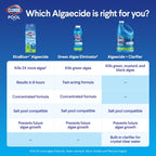 Clorox® Pool&Spa™ XTRABLUE® Plus Swimming Pool Algaecide, All-in-One Algae Killer, Non-Foaming, 40 Ounce (Pack of 1)