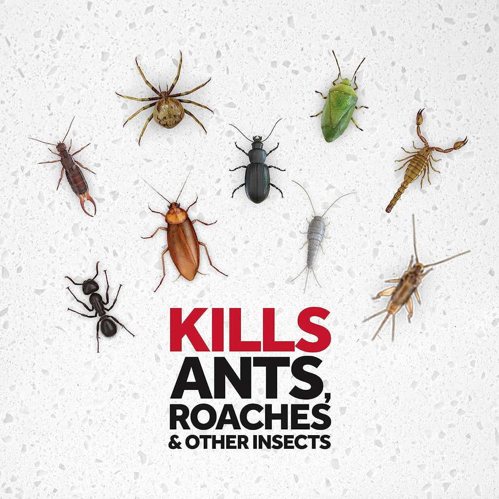Raid Ant & Roach Killer Lavender 17.5 Ounce (Pack of 6)