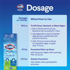 Clorox® Pool&Spa™ XTRABLUE® Plus Swimming Pool Algaecide, All-in-One Algae Killer, Non-Foaming, 40 Ounce (Pack of 1)