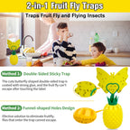 Fruit Fly Trap with Sticker, Effective Fly Catcher Gnat Traps for House Indoor, Fruit Fly Killer Comes with Attractant and Double-Sided Sticker, Non-Toxic Reusable Fly Trap for Home, Kitchen - 4 Pack