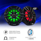 DS18 HYDRO NXL-6 - High End Coaxial Speaker Pair - 2-Way Marine Speaker w/Integrated RGB Lights - 300 Watt - 100% UV Stable - Water Resistant Speakers - 6.5 Inches, Black