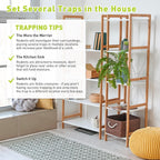 Ultra-Efficient Glue Mouse & Rat Traps -12 Pack Large Heavy Duty Glue Traps for Safe Home Pest Control. Pre-Baited, Non-Toxic Sticky Boards for Mice, Rats & More. Easy to Use, Child & Pet Safe