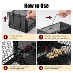 Pivmuth 2 Pack Humane Rat Traps 12.5"x5.5"x4.5", Reusable Mouse Traps for Indoor/Outdoor Use, No-Kill Live Capture for Chipmunks, Squirrels, Rats, Mice
