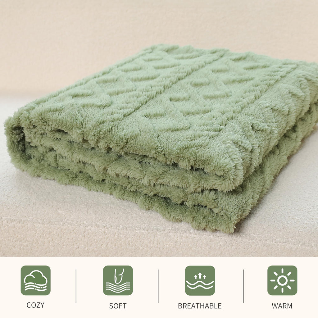 Aganear Fleece Throw Blanket - Cozy Soft Lightweight Fuzzy Throw Blanket for Women Portable Throw Blankets for Couch, Warm Present for Birthday, Christmas, Halloween, Housewarming(50"x60", Sage Green)