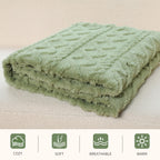 Aganear Fleece Throw Blanket - Cozy Soft Lightweight Fuzzy Throw Blanket for Women Portable Throw Blankets for Couch, Warm Present for Birthday, Christmas, Halloween, Housewarming(50"x60", Sage Green)