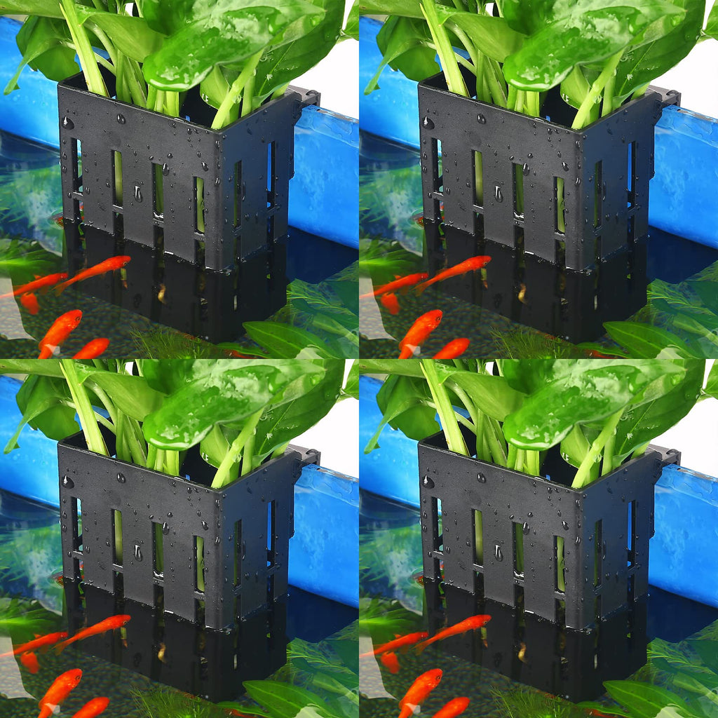 Upgraded Aquarium Plant Holder with Hooks and Suction Cups for Fish Tank Aquaponic Plant Cultivation and Aquascape Decorations (Black)