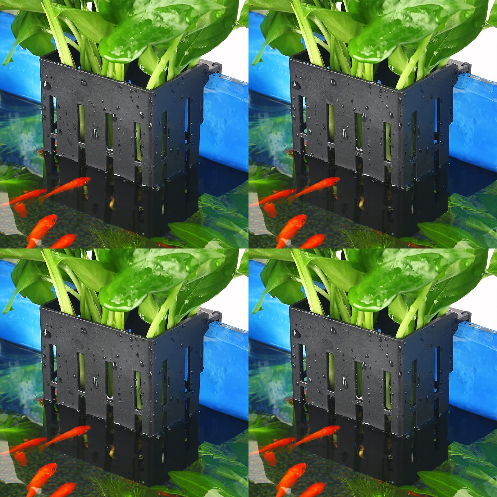Upgraded Aquarium Plant Holder with Hooks and Suction Cups for Fish Tank Aquaponic Plant Cultivation and Aquascape Decorations (Black)